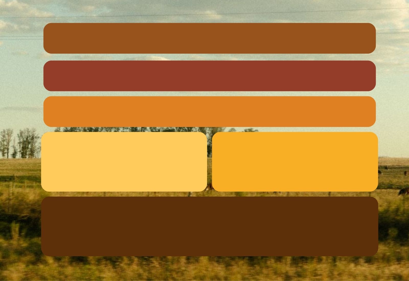 Paleta de colores de la marca Ghee