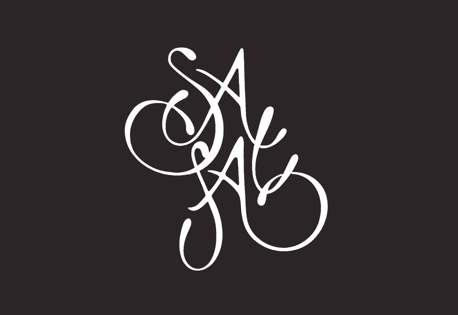 Logotipo vertical de Salsa